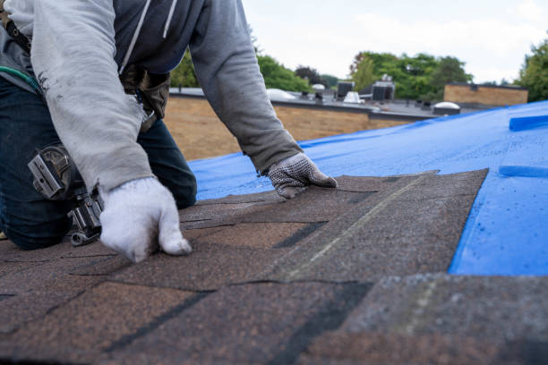 Best Roof Restoration Services  in Wamac, IL